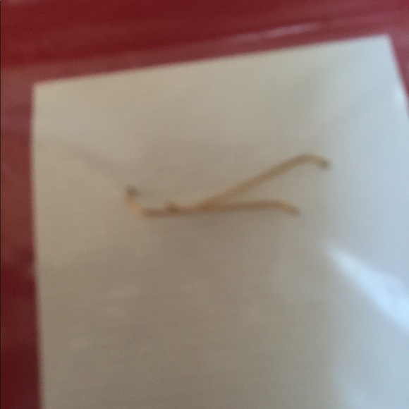 Earrings - Picture 1 of 2